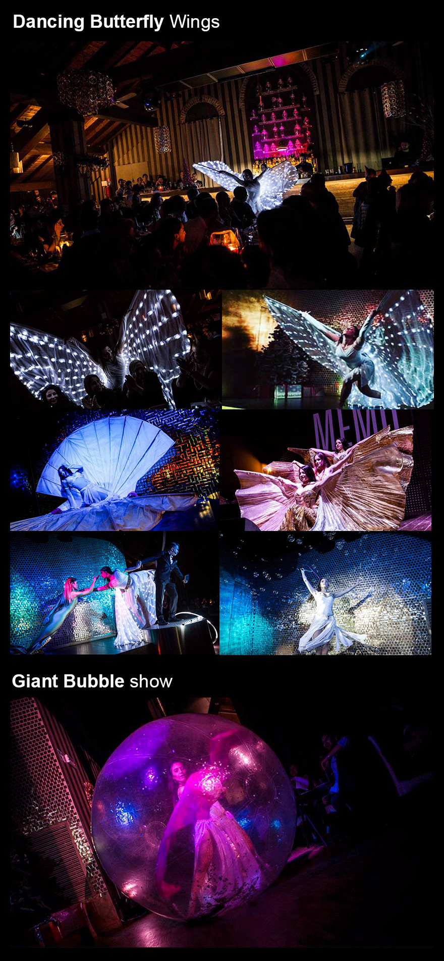 butterfly-bubble-show